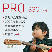 PRO 300円/月(税抜)〜